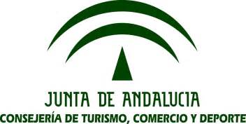 El Gobierno andaluz modifica la Ley del Deporte para delimitar cómo pueden acreditarse las competencias profesionales. El Consejo aprueba un decreto ley tras el acuerdo alcanzado con el Gobierno central al respecto.