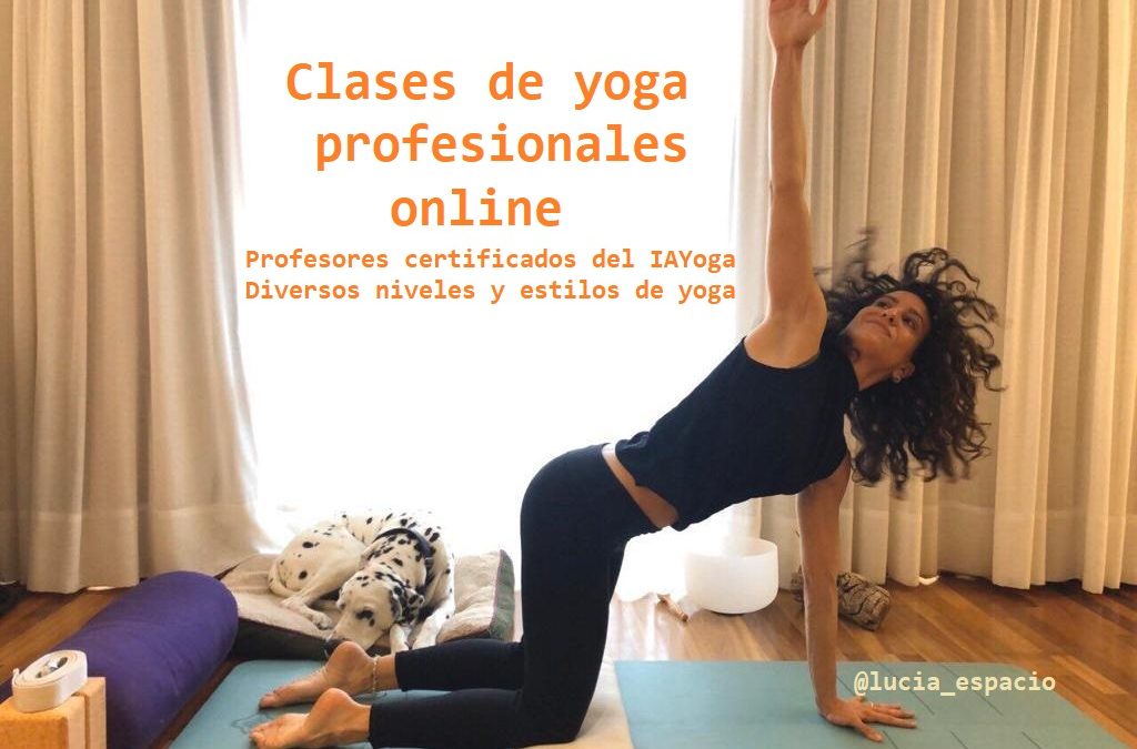 Clases de yoga profesionales online. Profesores certificados del IAYoga. Diversos niveles y estilos de yoga