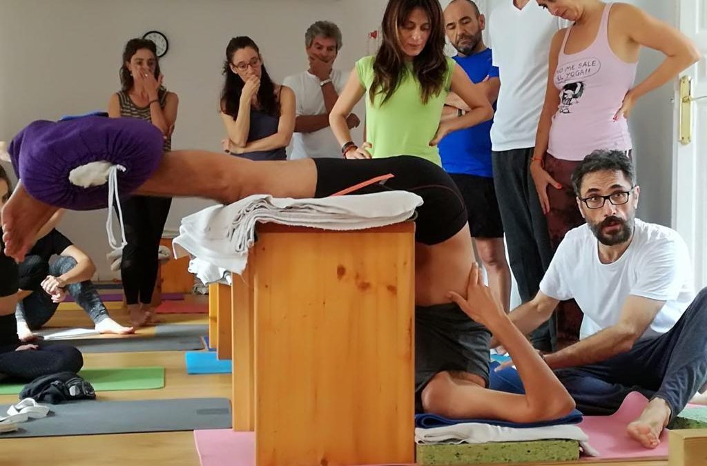 Círculo de profesores IAYoga. Intercambio gratuito de clases de yoga.