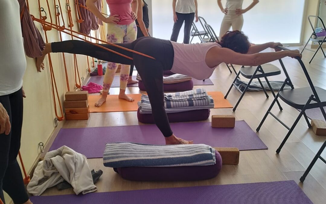 Próxima reunión informativa sobre la acreditación para Instrucción en Yoga (AFDA0311) 4 de abril, 19:30 hs, Escuela de Yoga María Diz.