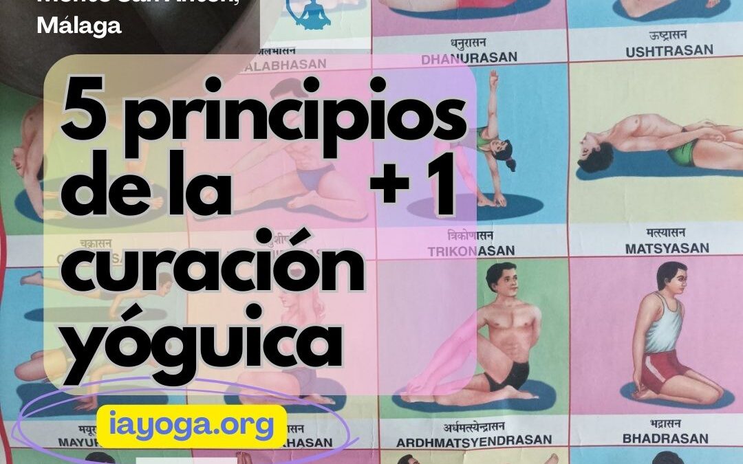 5 principios de la curación yóguica +1, taller de Joaquín G Weil, sábado 31 de Mayo, 10:00 a 13:00, Centro Pinares, Monte San Antón, Málaga.