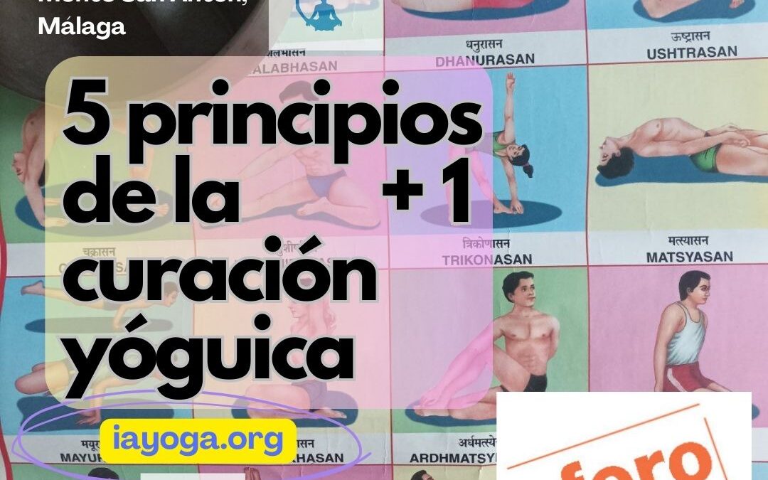 AFORO COMPLETO: 5 principios de la curación yóguica +1, taller de Joaquín G Weil, sábado 31 de Mayo, 10:00 a 13:00, Centro Pinares, Monte San Antón, Málaga.