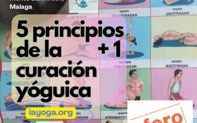 AFORO COMPLETO: 5 principios de la curación yóguica +1, taller de Joaquín G Weil, sábado 31 de Mayo, 10:00 a 13:00, Centro Pinares, Monte San Antón, Málaga.