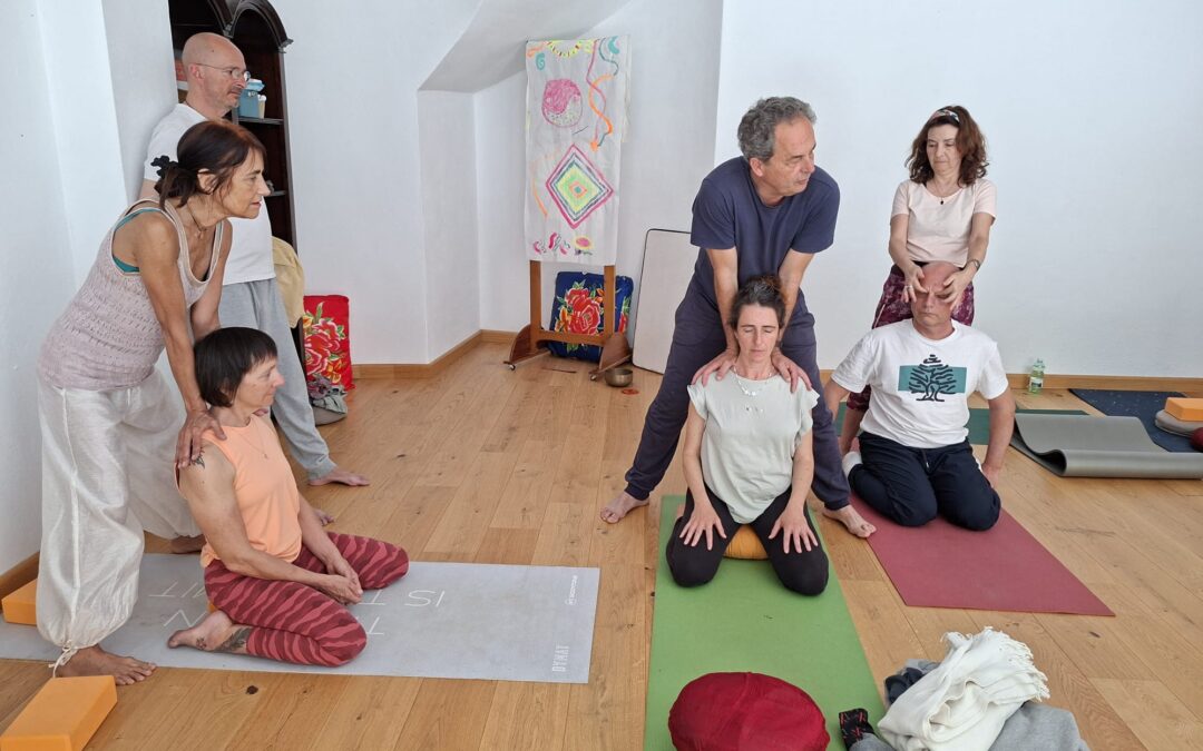 ¿Qué es meditar? Ciencia, filosofía y tradición del yoga. Taller práctico con el Dr. Max Gerber y Joaquín Gª Weil, domingo 31 de mayo en Centro Pinares Yoga, Málaga.