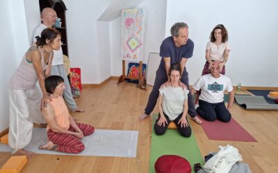 ¿Qué es meditar? Ciencia, filosofía y tradición del yoga. Taller práctico con el Dr. Max Gerber y Joaquín Gª Weil, domingo 31 de mayo en Centro Pinares Yoga, Málaga.